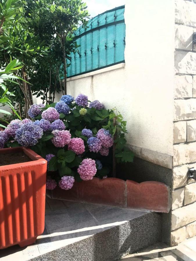 Ml Apartman Senj  Luaran gambar